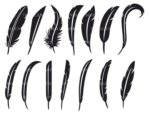 Collection of feathers SVG TribaliumArtSF 