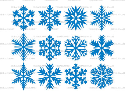 Collection of snowflakes SVG TribaliumArtSF 