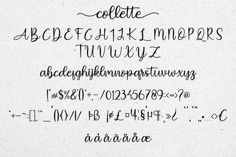 Collette Font Jun Creative 