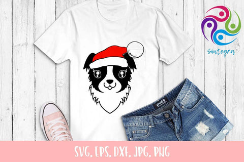 Collie Dog With Christmas Hat SVG File SVG Sintegra 
