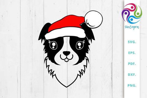 Collie Dog With Christmas Hat SVG File SVG Sintegra 