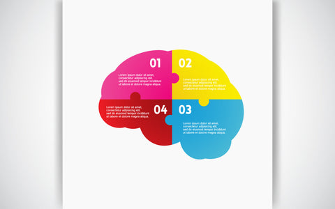 Color brain infographics SVG naemmiah021 