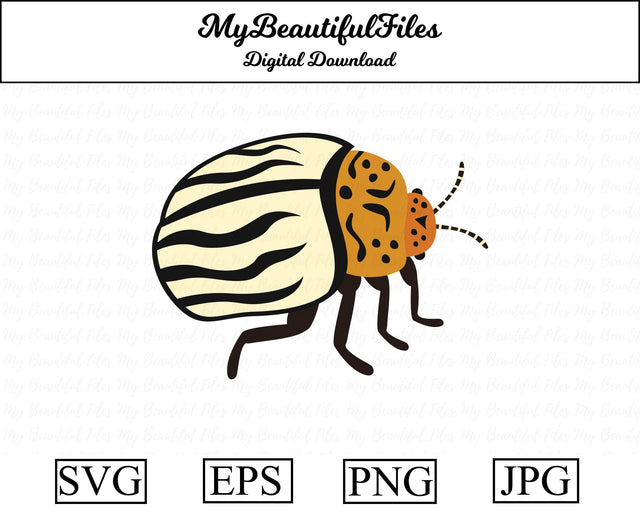Colorado potato beetle - insect SVG MyBeautifulFiles 