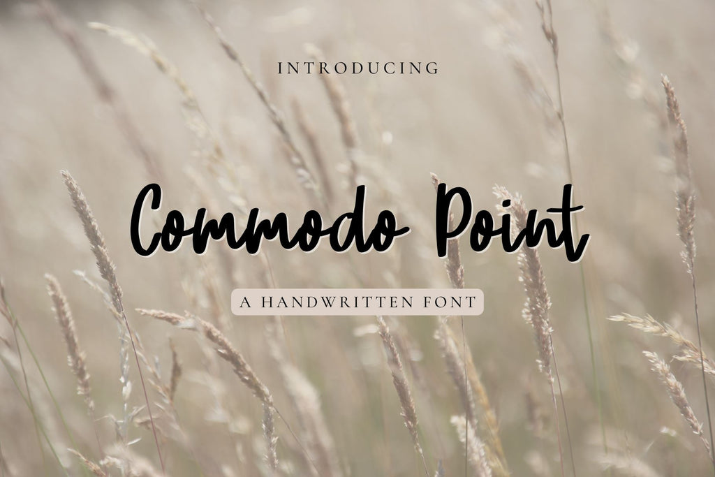 Commodo Point - So Fontsy
