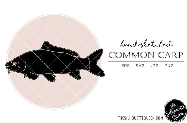 Common Carp Hand sketched, hand drawn vector clipart SVG Loveleen Kaur 