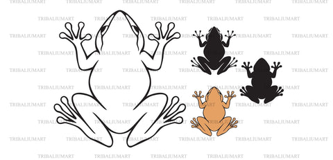 Common Coqui Frog SVG TribaliumArtSF 