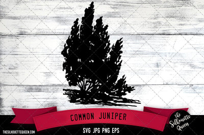 Common Juniper SVG -Vector Art Commercial & Personal Use- Cricut,Silhouette,Cameo,Vinyl Cut SVG Loveleen Kaur 
