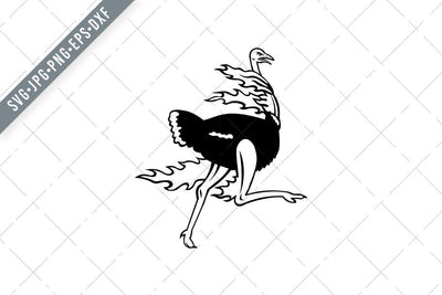 Common Ostrich Running While on Fire Viewed from Side Mascot Black and White SVG Patrimonio Designs Limited 