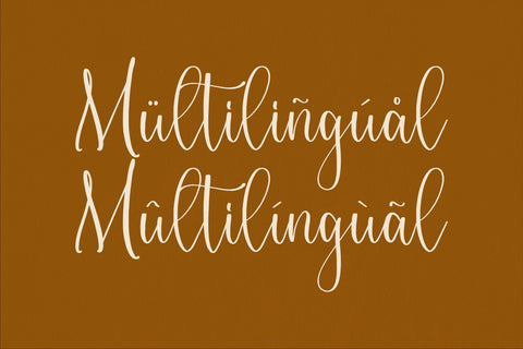 Constaince Matequeen - Beautiful Script Font Font Storytype Studio 