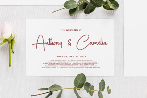 Contradiction Font Abo Daniel Studio 