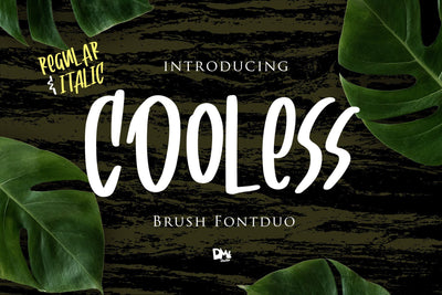 Cooless - Brush Font Font Dm Letter Studio 