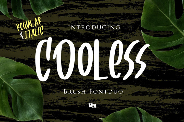 Cooless - Brush Font Font Dm Letter Studio 