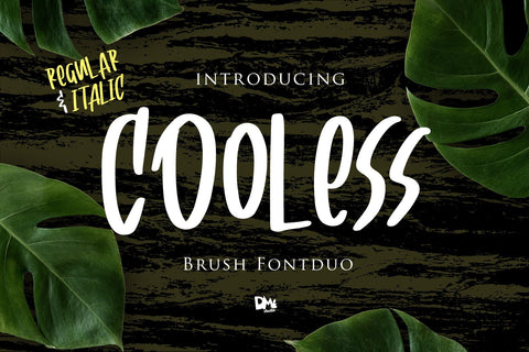 Cooless - Brush Font Font Dm Letter Studio 
