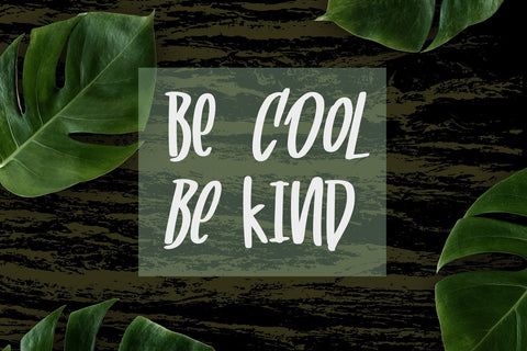 Cooless - Brush Font Font Dm Letter Studio 