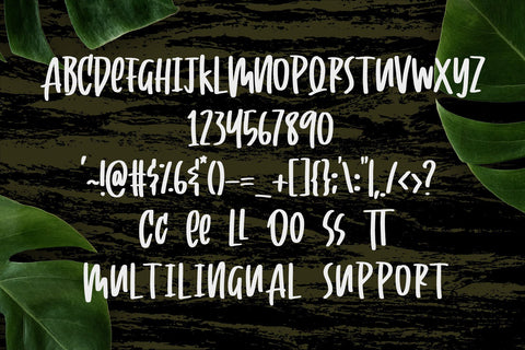 Cooless - Brush Font Font Dm Letter Studio 