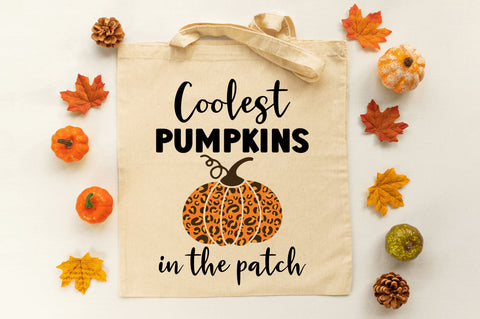 Coolest pumpkin in the patch SVG SVG Regulrcrative 