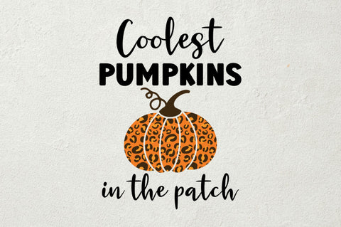 Coolest pumpkin in the patch SVG SVG Regulrcrative 