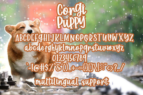 Corgi Puppy - Handwritten Font Font Dm Letter Studio 