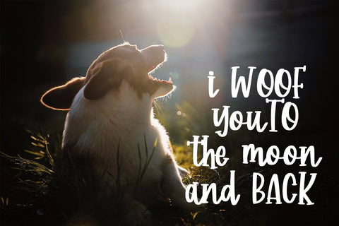 Corgi Puppy - Handwritten Font Font Dm Letter Studio 