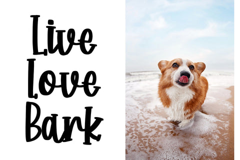 Corgi Puppy - Handwritten Font Font Dm Letter Studio 