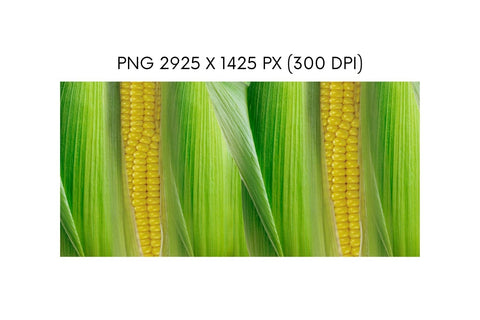 Corn Mug Sublimation Sublimation SvgOcean 