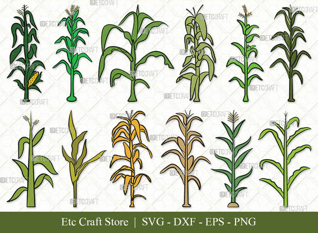 Corn Stalk SVG, Corn Stalk Clipart, Corn Tree Svg, Corn Svg, Corn Stalk Icon Svg, Corn Lover Svg, Corn Life Svg, Corn Stalk Bundle SVG ETC Craft 