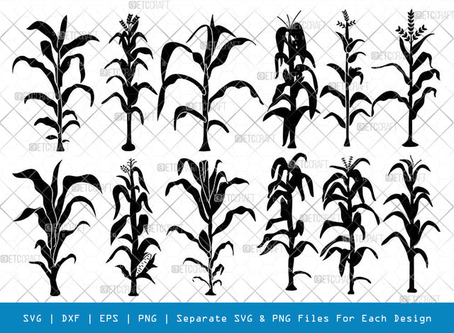 Corn Stalk SVG, Corn Stalk Silhouette, Corn Tree Svg, Corn Svg, Corn Stalk Icon Svg, Corn Lover Svg, Corn Life Svg, Corn Stalk Bundle SVG ETC Craft 