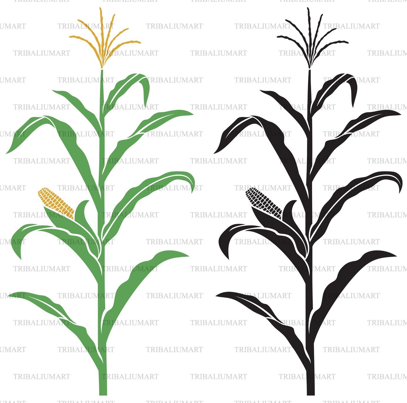 Corn Stalk Template