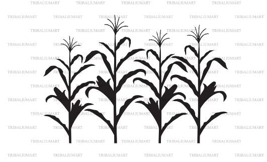 Corn stalks SVG TribaliumArtSF 