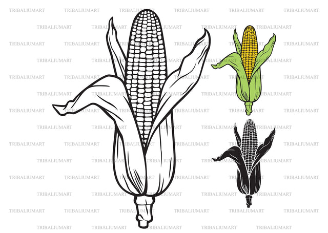 Corn with leaves SVG TribaliumArtSF 