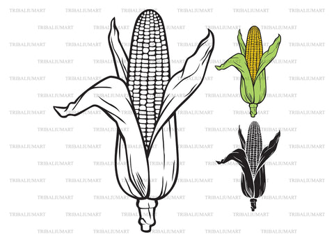 Corn with leaves SVG TribaliumArtSF 