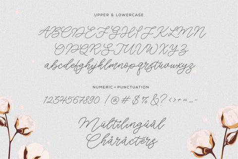 Cotton Fields Font Font Balpirick 