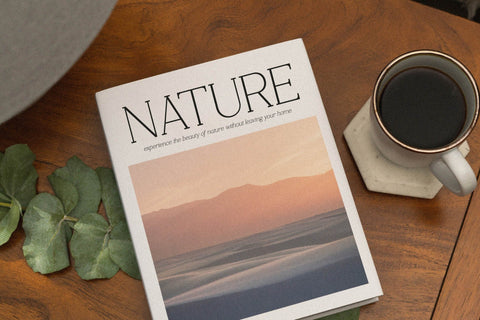 Courthes Typeface Font Storytype Studio 