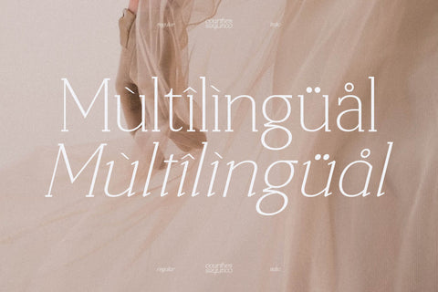 Courthes Typeface Font Storytype Studio 