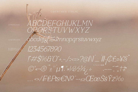 Courthes Typeface Font Storytype Studio 