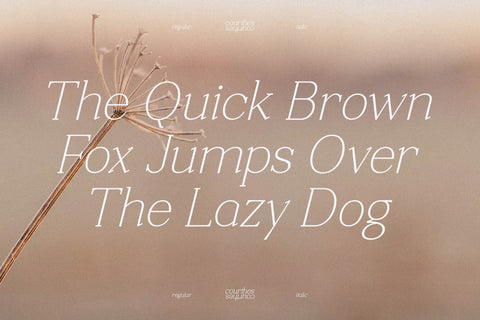 Courthes Typeface Font Storytype Studio 
