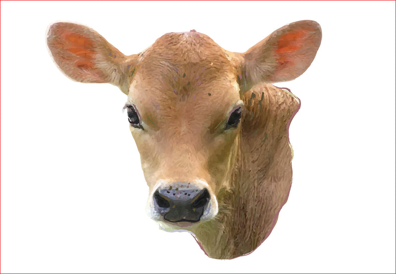 Cow calf png, Cow calf sublimation, sublimation graphics, clipart, [ng Sublimation sublimationhappy 