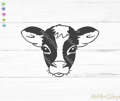 Cow Face svg, Cute Cow Svg SVG _HelArtShop_ 