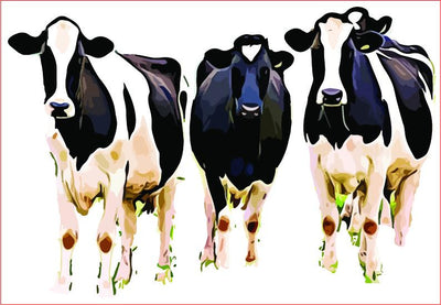 Cows Sublimation Graphic Sublimation sublimationhappy 
