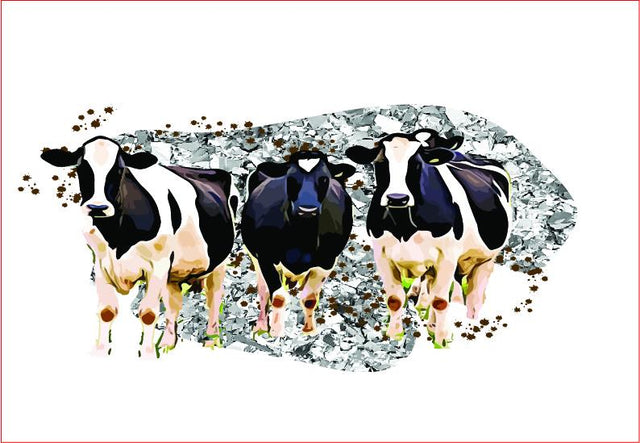 Cows Sublimation Graphics Graphic Sublimation sublimationhappy 