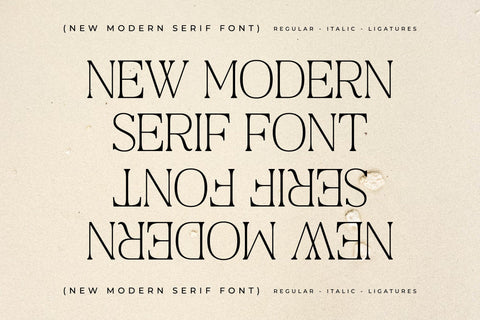 Craftern Typeface Font Storytype Studio 