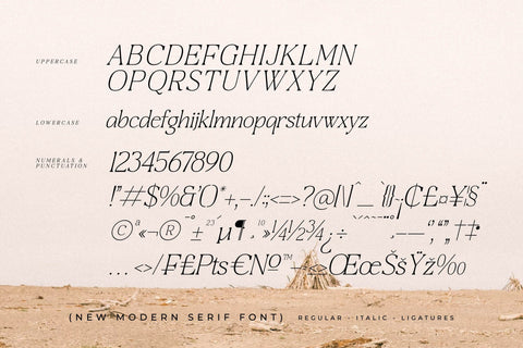 Craftern Typeface Font Storytype Studio 