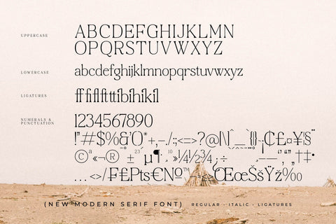Craftern Typeface Font Storytype Studio 