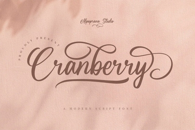 Cranberry - Modern Script Font Font Alpaprana Studio 