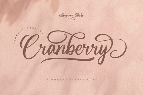 Cranberry - Modern Script Font Font Alpaprana Studio 