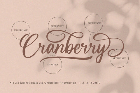 Cranberry - Modern Script Font Font Alpaprana Studio 