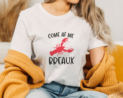 Crawfish Quotes SVG Bundle, 6 Designs, Funny Crawfish SVG, Come At Me Breaux SVG, Put Some South In Your Mouth SVG, Feisty And Spicy SVG SVG HappyDesignStudio 