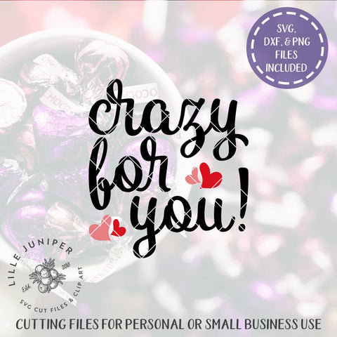 Crazy For You SVG | Valentine's Day svg | Farmhouse Sign Design SVG LilleJuniper 