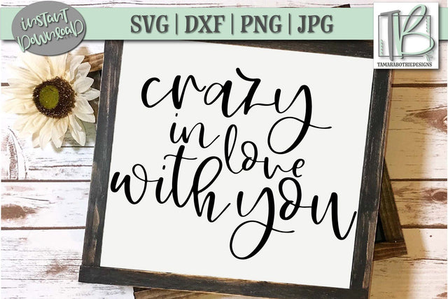 Crazy In Love With You SVG File, Valentine's Sign SVG File SVG TB Designs 