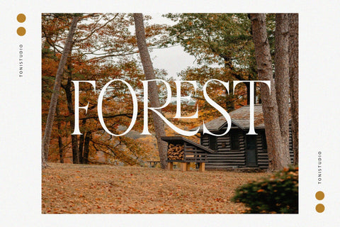 CREMISS Font toni_std 